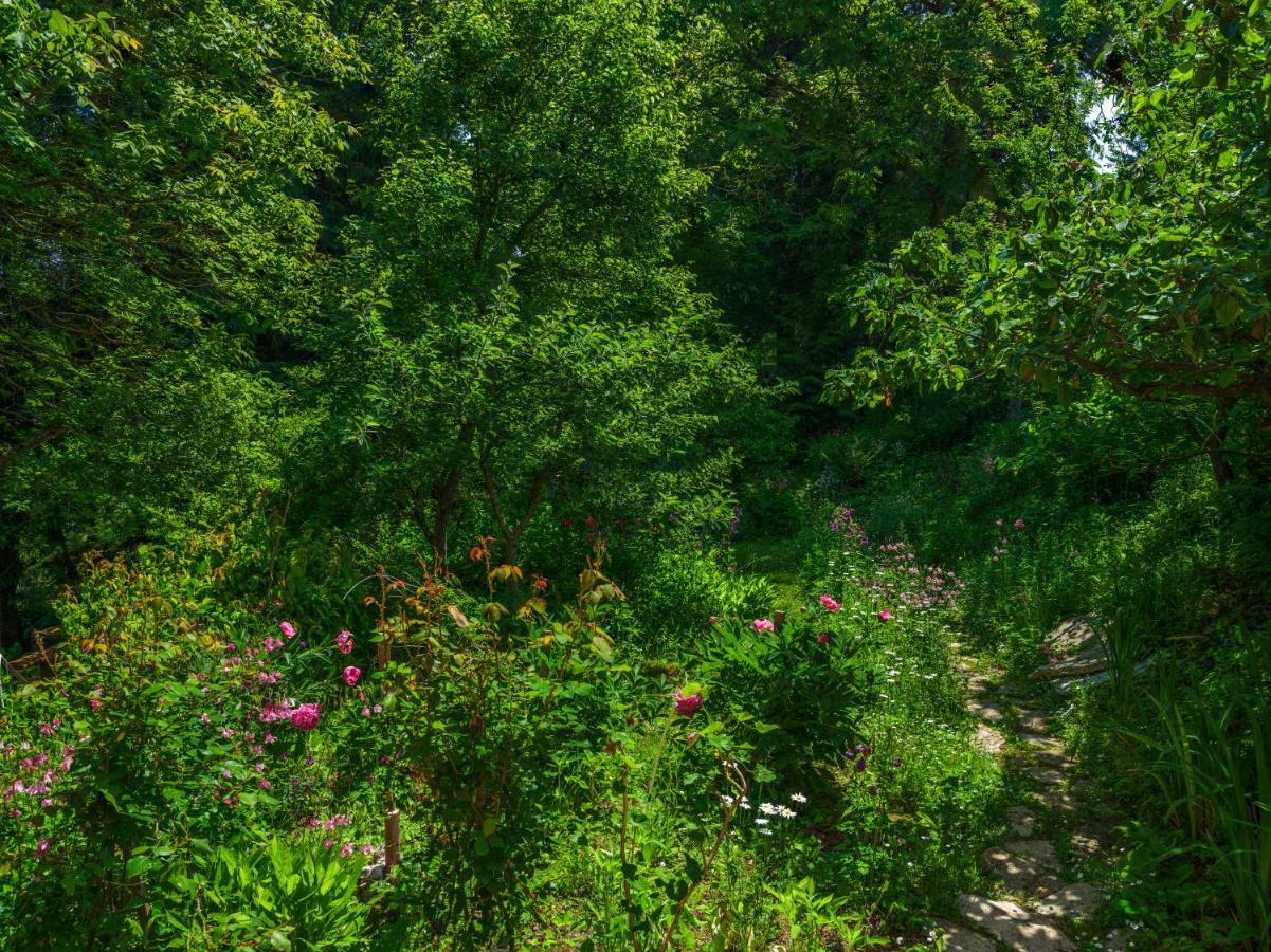 Yeti Cabin Plitvica selo Exterior photo